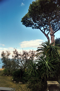 Garden view, looking towards Naples