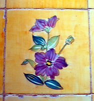 Ceramic tiles on floor